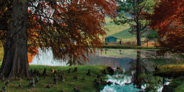 Where to Find Senior Discounts in 2025